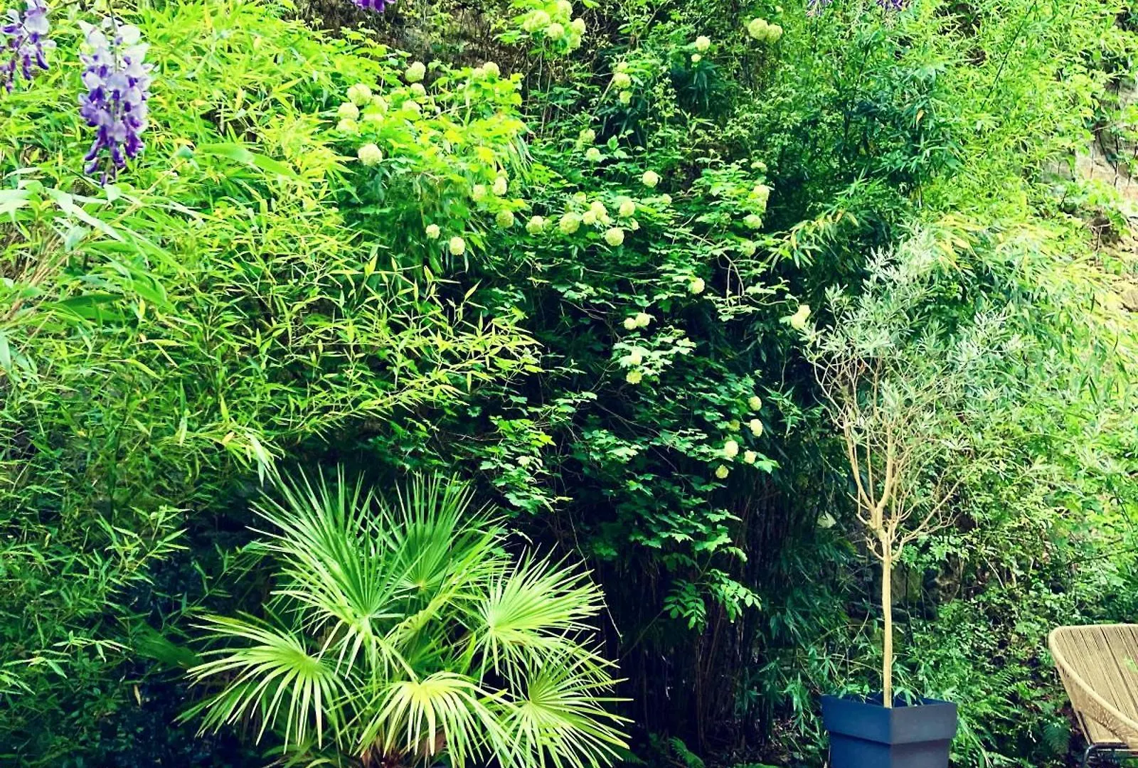 Lehontine Bed & Breakfast Dinan